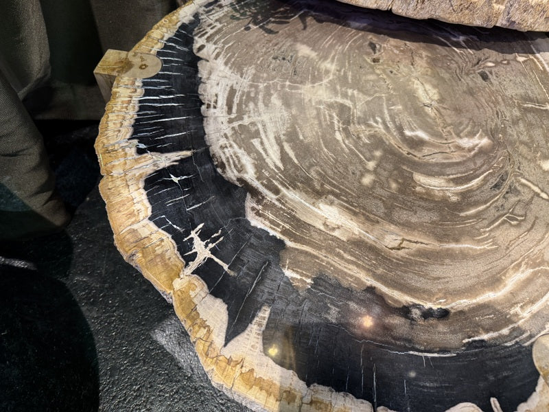 Couchtisch Holzstein, 2er Set Couchtisch beige Unikat, Durchmesser 75-85 cm