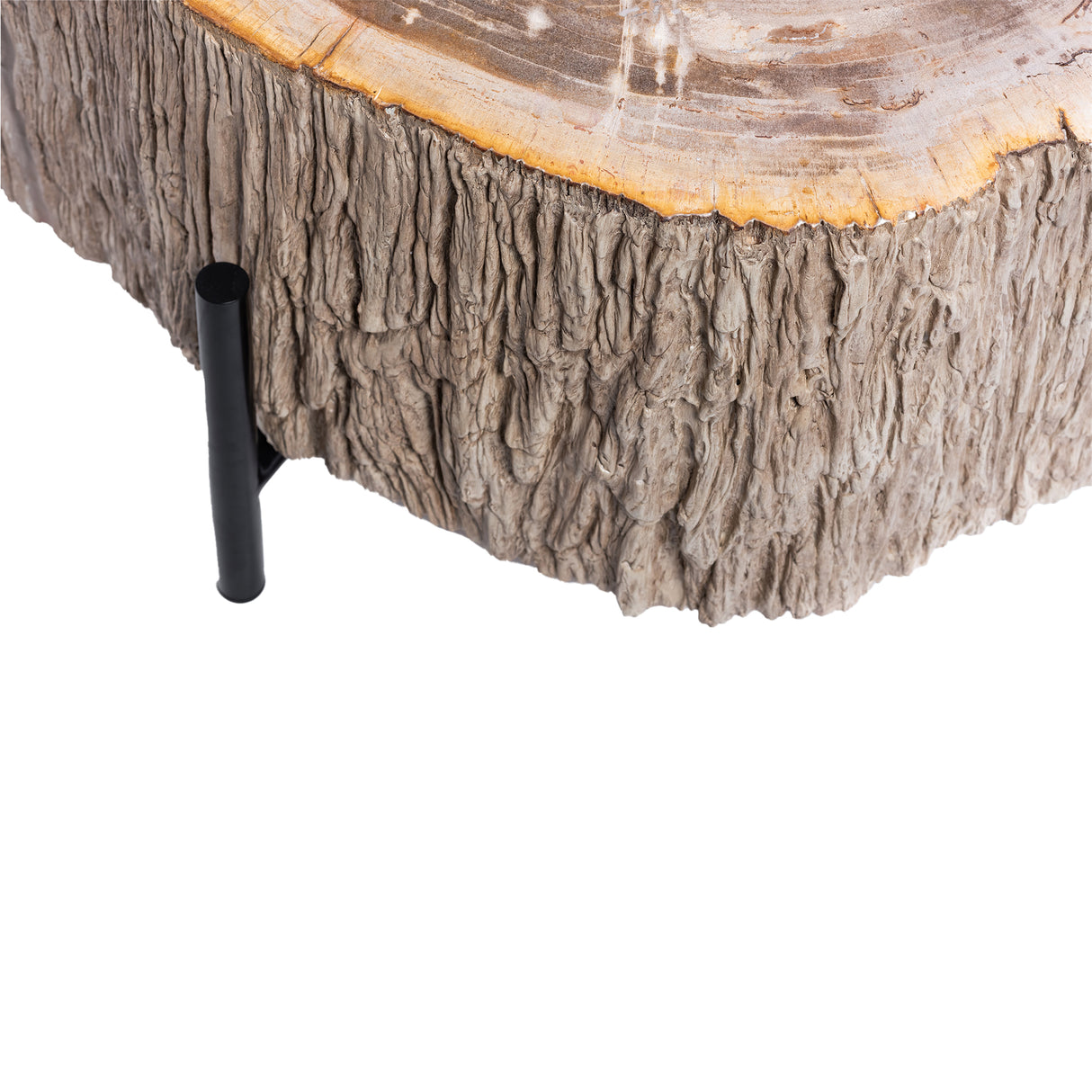 Couchtische versteinertes Holz, Länge 120 cm