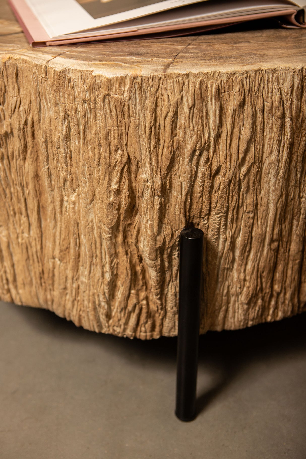 Couchtische versteinertes Holz, Länge 120 cm