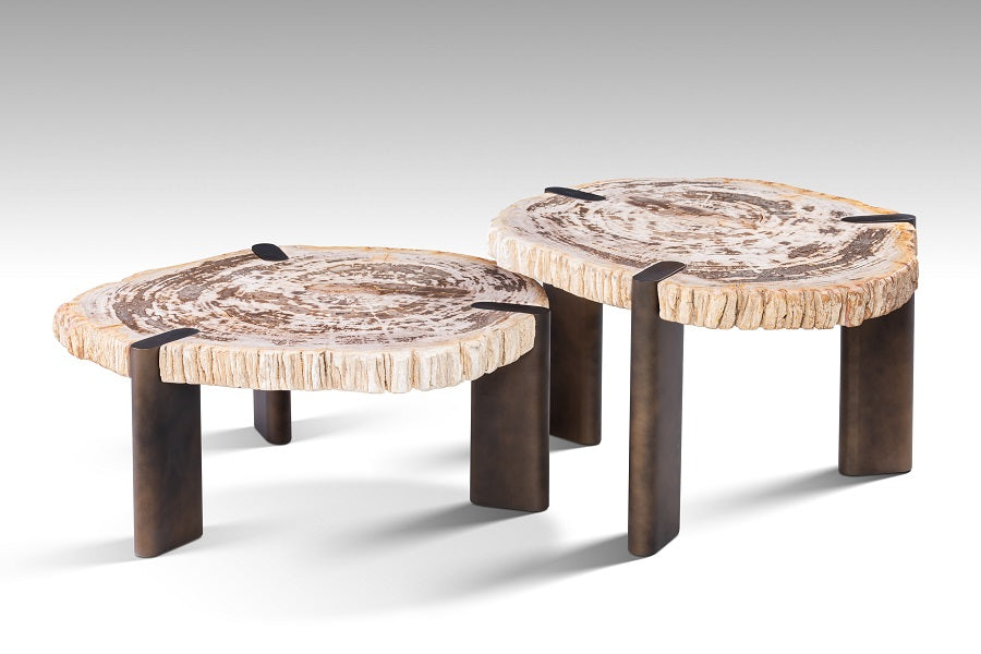 Couchtisch versteinertes Holz 2er Set, Couchtisch 2er Set aus versteinertem Holz, Durchmesser 60-70 cm