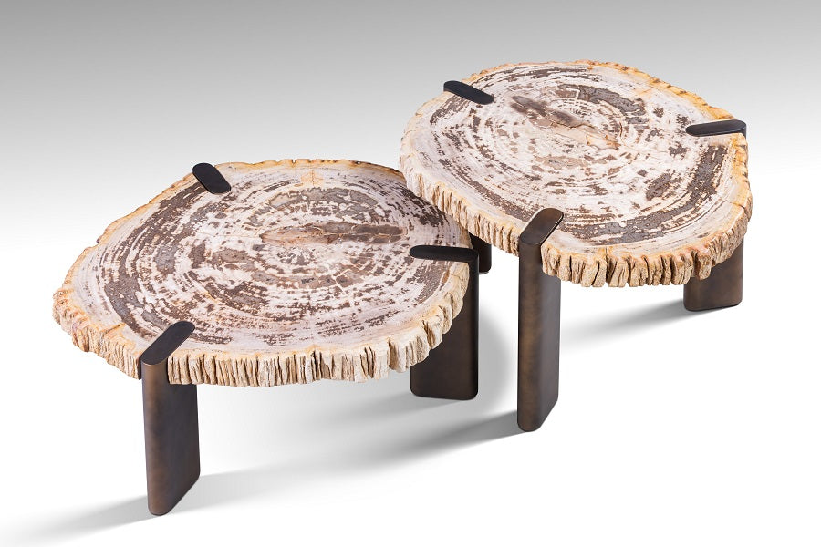 Couchtisch versteinertes Holz 2er Set, Couchtisch 2er Set aus versteinertem Holz, Durchmesser 60-70 cm
