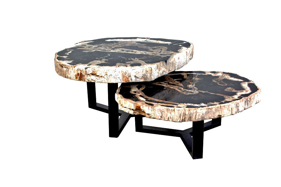 Couchtisch schwarz-beige versteinertes Holz 2er Set, Couchtisch 2er Set aus versteinertem Holz, Durchmesser 70-80 cm