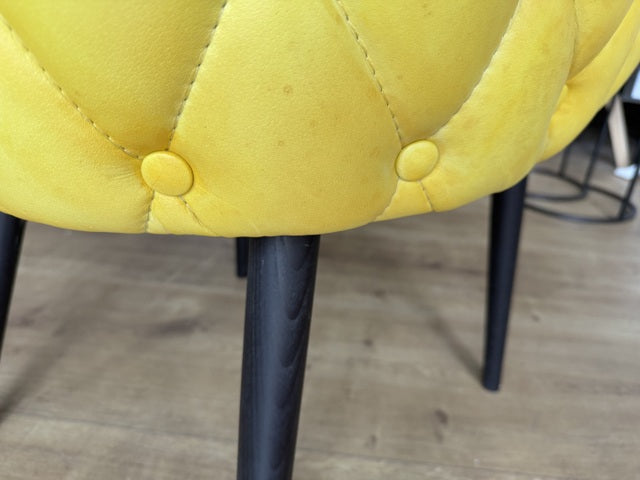 Stuhl Chesterfield gelb, Stuhl Echtleder gepolstert Chesterfield