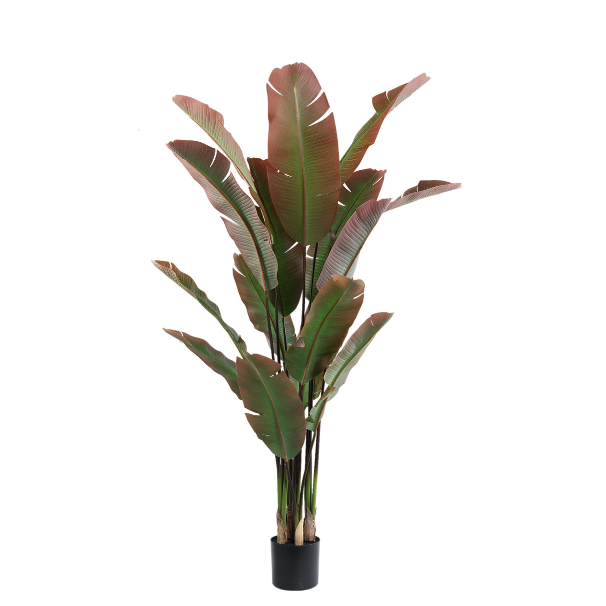 Kunstpflanze Strelitzia grün-rot,  Kunstpflanze rot-grün, große Kunstpflanze grün, Höhe 180 cm