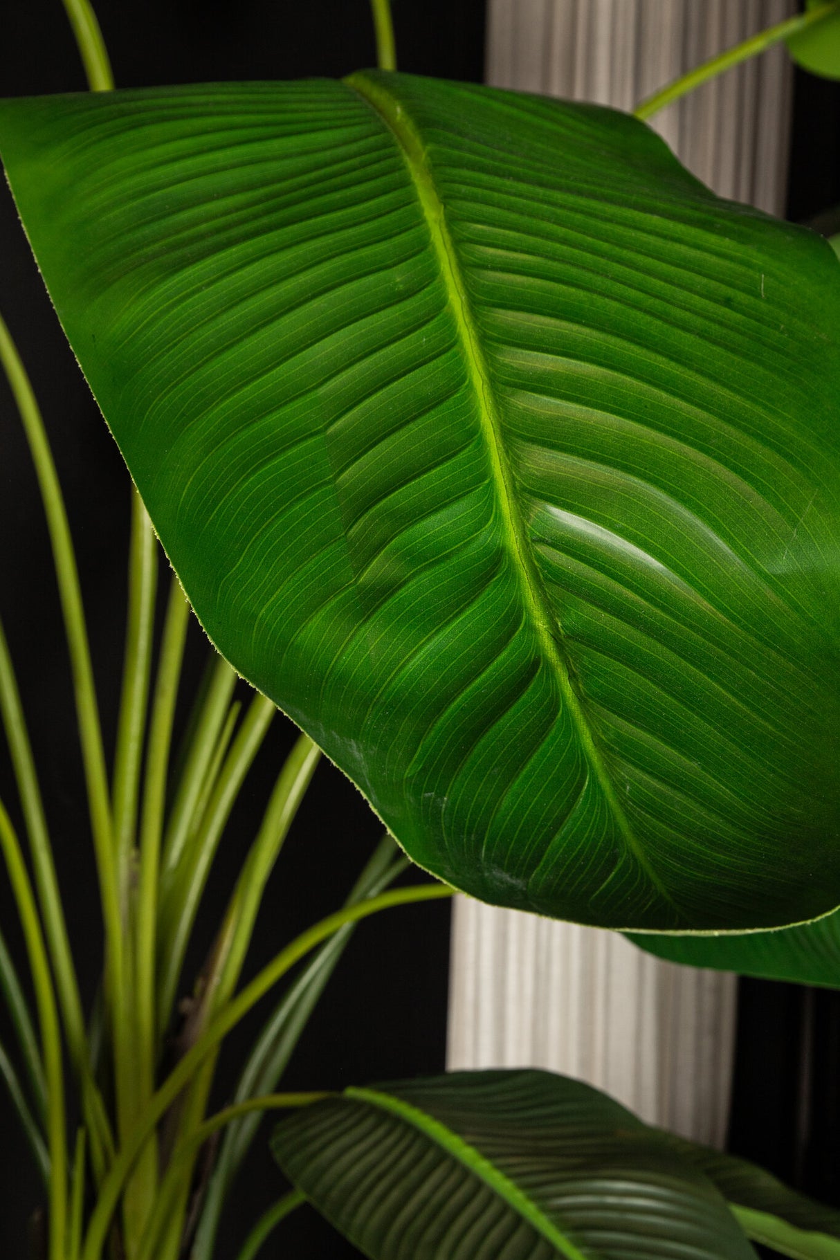 Künstlicher Bananenbaum XL,  Deko-Bananenpflanze grün, Kunstpflanze Bananenstaude grün, Höhe 235 cm