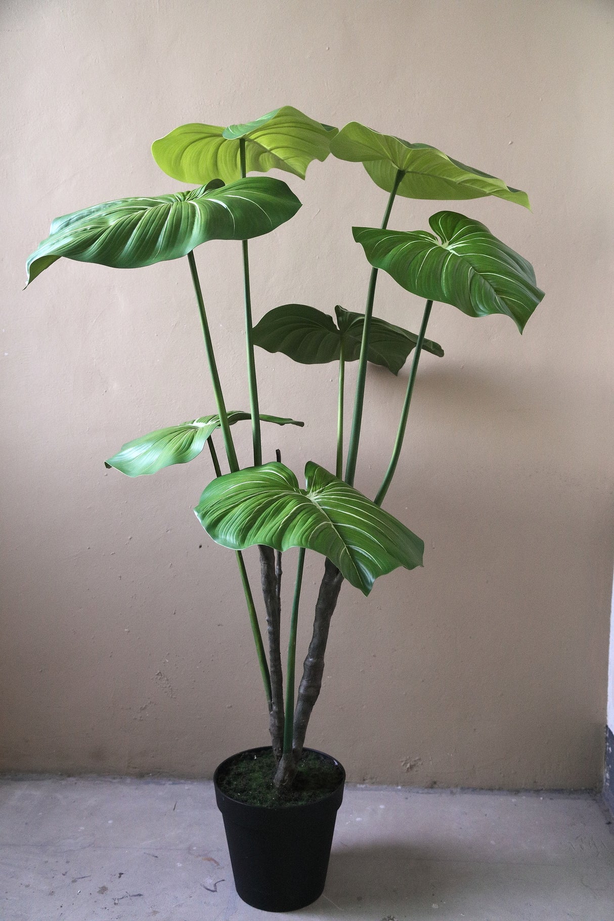 Kunstpflanze grün XL, Deko-Kunstpflanze Philodendron grün, Höhe 178 cm