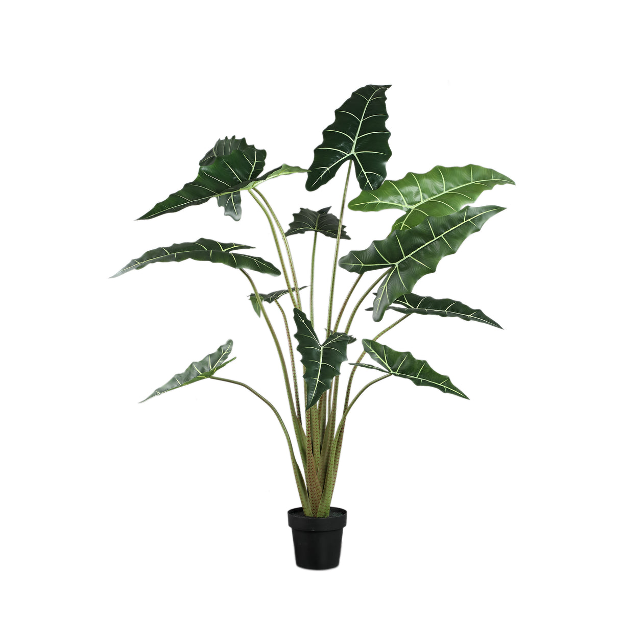 Kunstpflanze groß Alocasia, Deko-Kunstpflanze  grün, Höhe 140cm