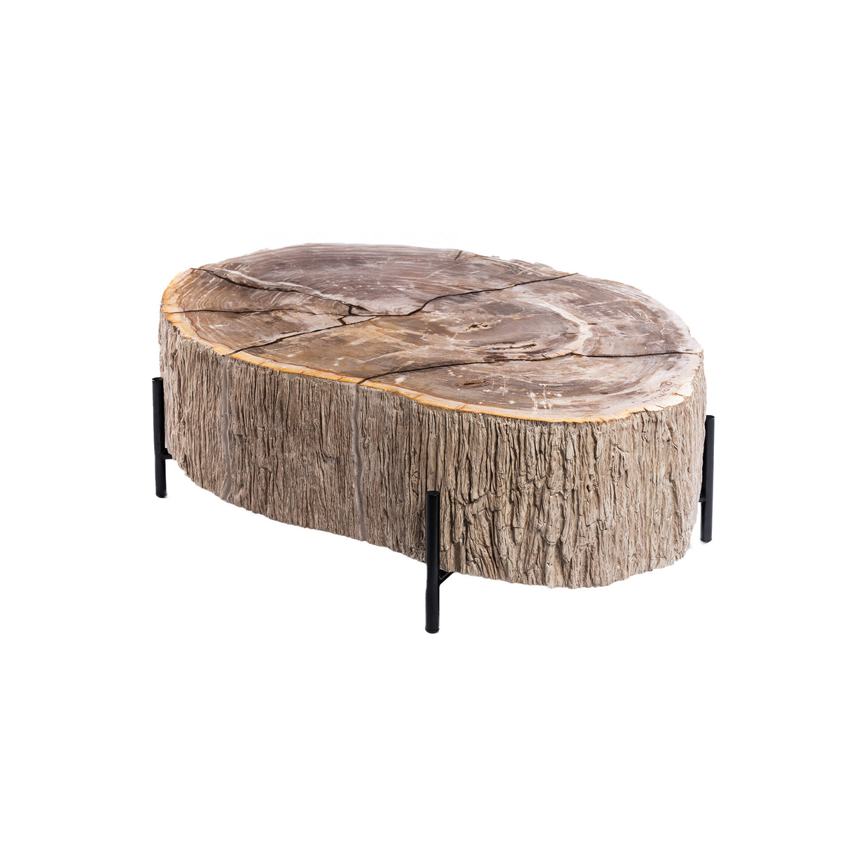 Couchtische versteinertes Holz, Länge 120 cm