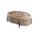 Couchtische versteinertes Holz, Länge 120 cm
