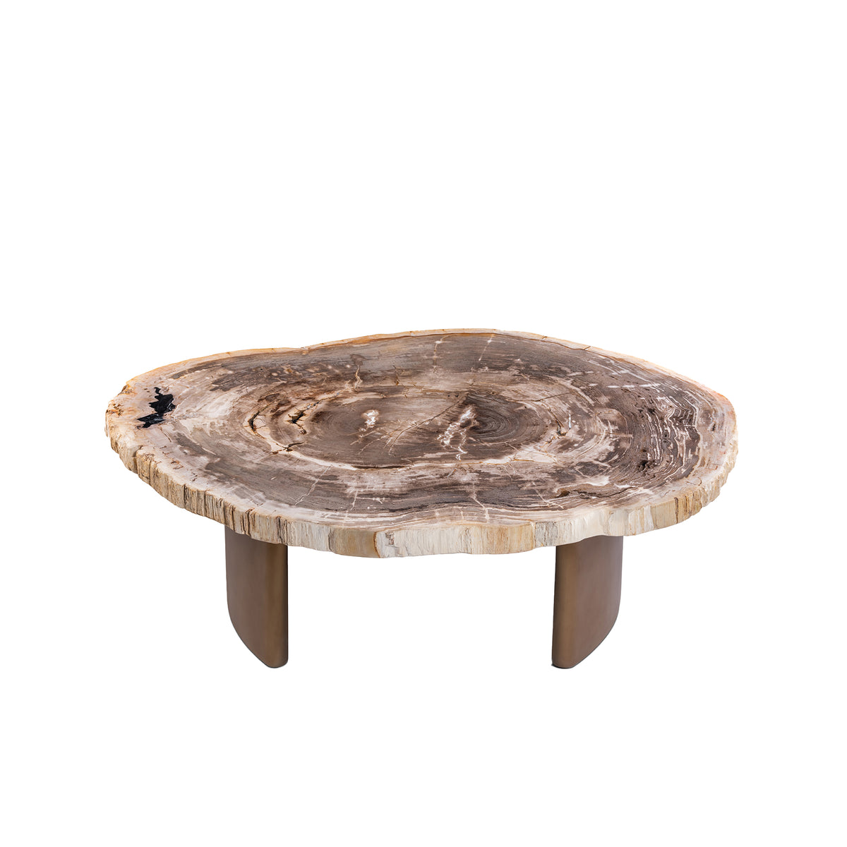Couchtisch versteinertes Holz, Couchtisch beige-braun rund, Länge 120 cm