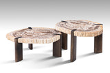 Couchtisch versteinertes Holz 2er Set, Couchtisch 2er Set aus versteinertem Holz, Durchmesser 60-70 cm