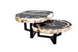Couchtisch schwarz-beige versteinertes Holz 2er Set,  Couchtisch 2er Set aus versteinertem Holz, Durchmesser 70-80 cm