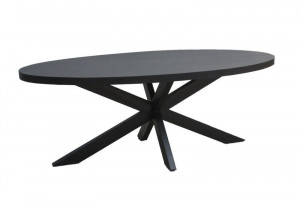 Esstisch schwarz oval, ovaler Tisch schwarz Metall Holz, Breite 210 cm